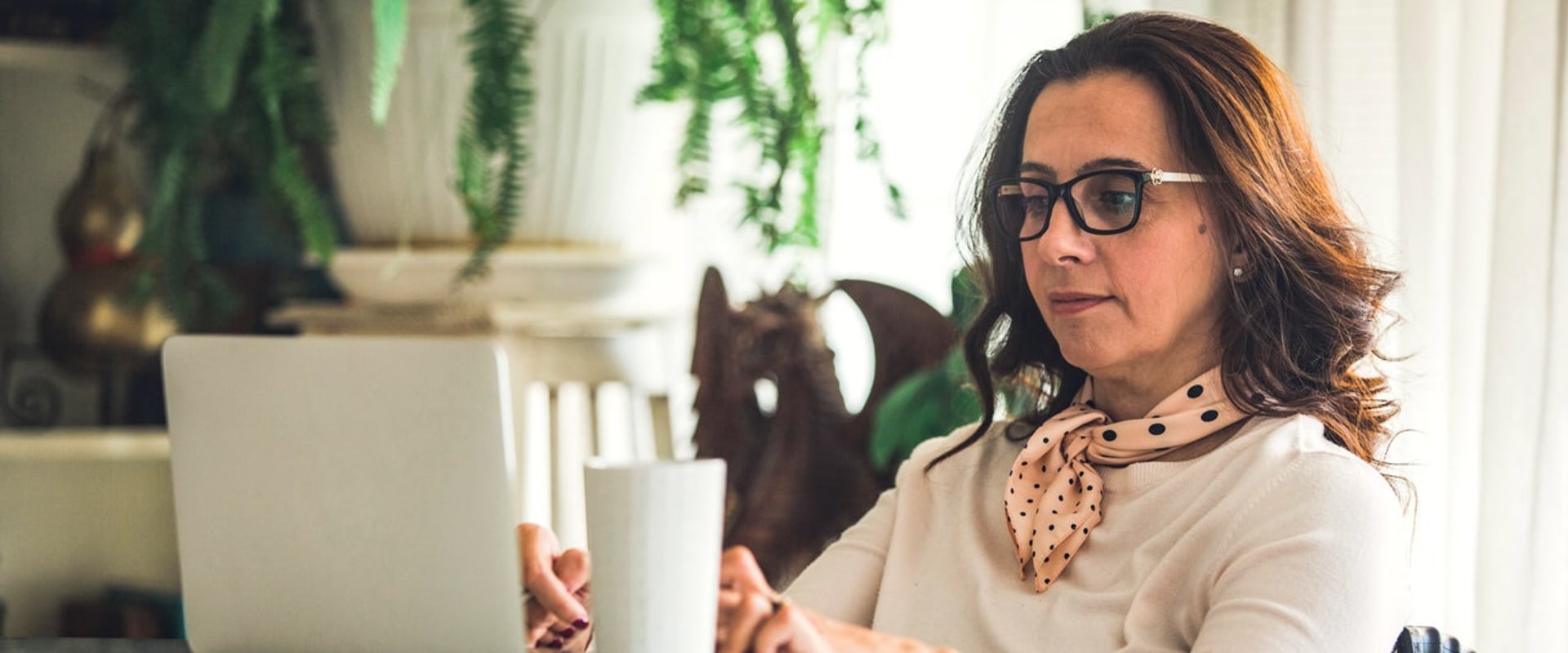 What is the difference between a traditional ira and a contributory ira?